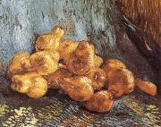 Vincent Van Gogh Still life tiwh Pears (nn04) USA oil painting reproduction
